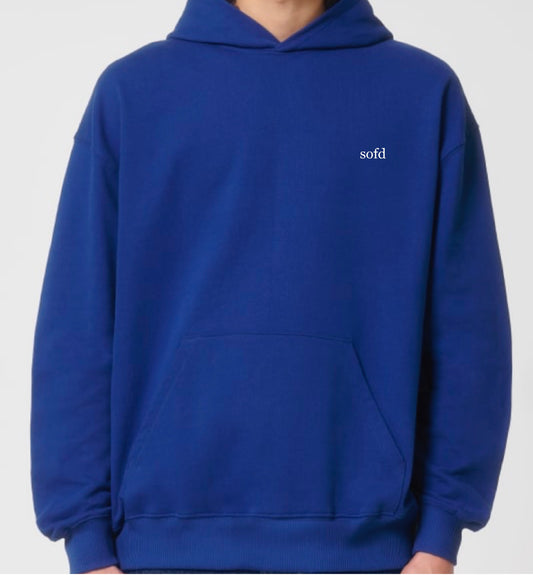 pullover (blau)